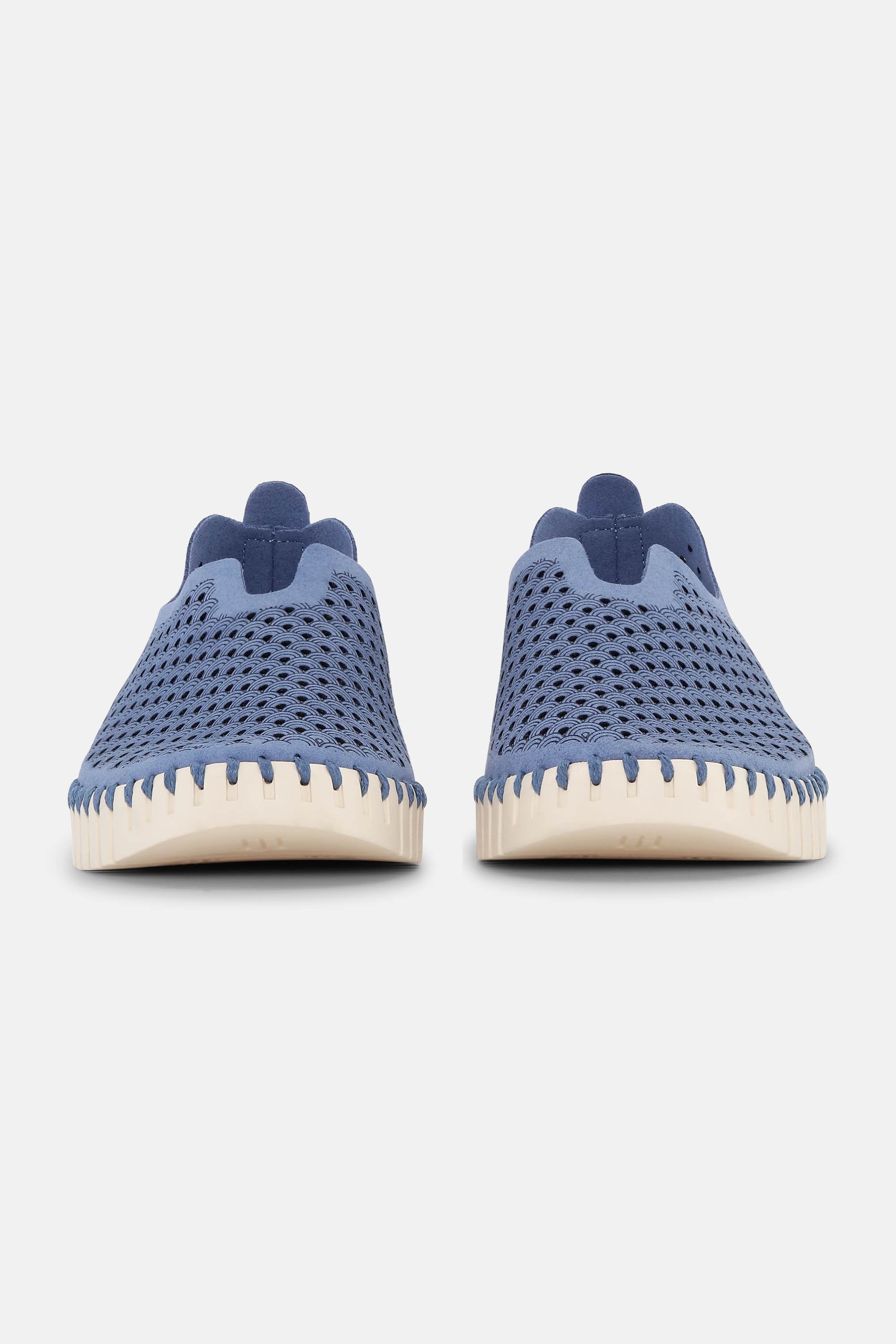 Tulip Flats - Light Regatta